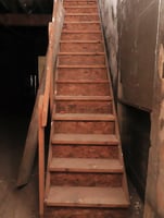 31293965