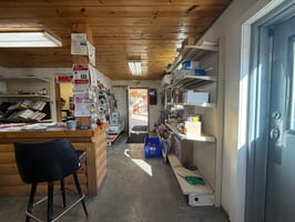 31294635