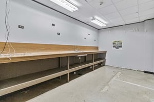 31295298