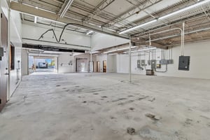 31295306