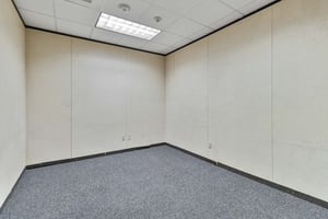 31295302