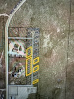 31297087