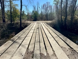 31298392