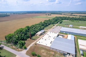 31300695