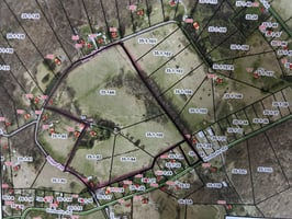 31302262