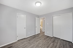 31307646