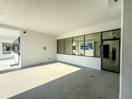 31305636