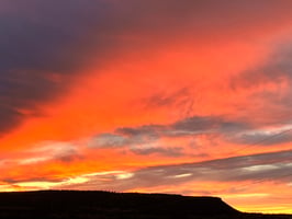 31305963