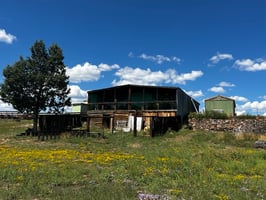 31305991
