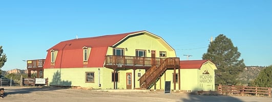 31305924