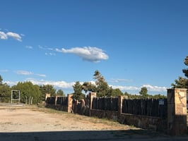 31305977