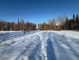31312871