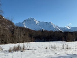 31312873