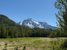 33594562