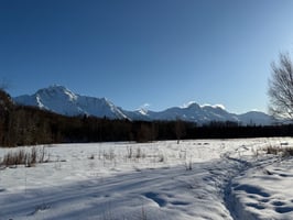 31312870