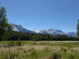 33594561