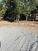 31335551