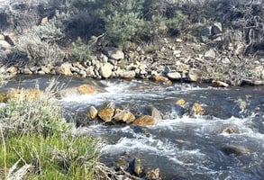 31335752