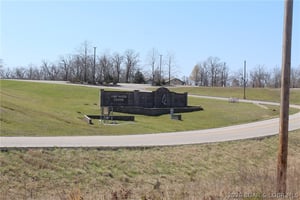 31335771