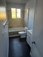 33686620
