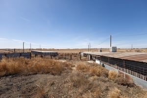 31536339