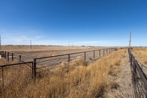 31536329
