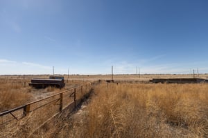 31536338