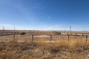 31536323