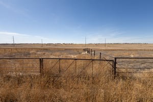 31536330