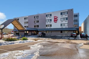 31343806