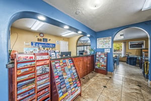 31348788