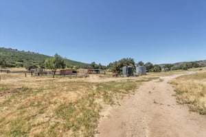 31345845