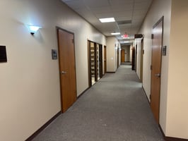 31347646