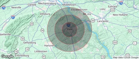 31347593