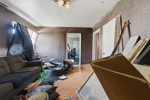 31366916