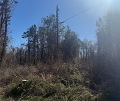 31348952