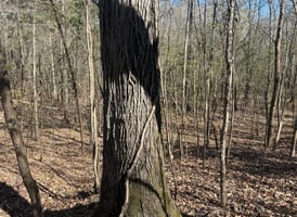 31348950