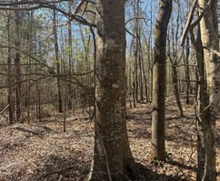 31348963
