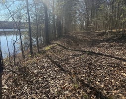 31348960