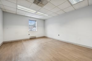 31349568