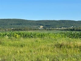 31350064