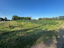 31350061