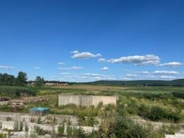 31350055