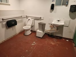 31367126