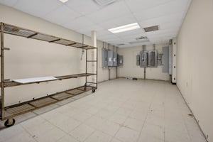 31355574