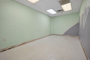31355567