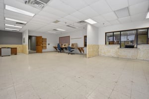 31355577