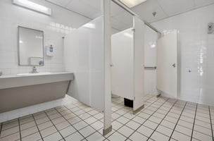 31355573