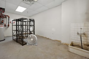 31355604