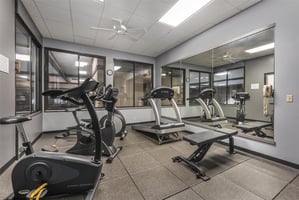 31628381